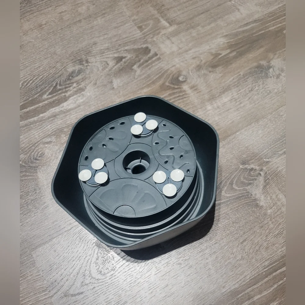 Slow-feeder dog bowl